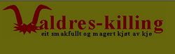 Logo Valdres-killing