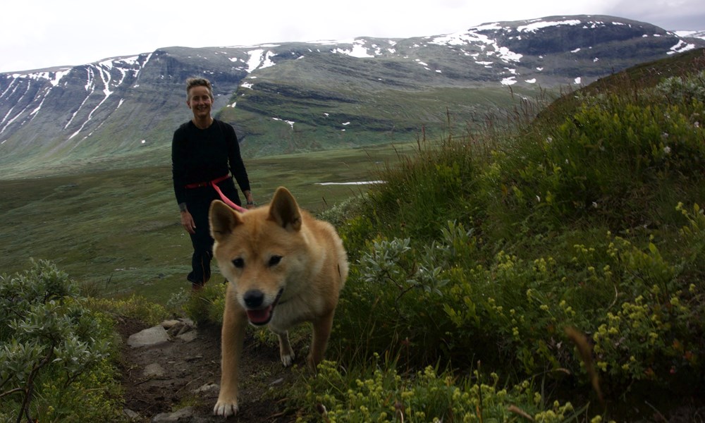 Julie Forchhammer på tur i Vangsfjella med hunden Luna.